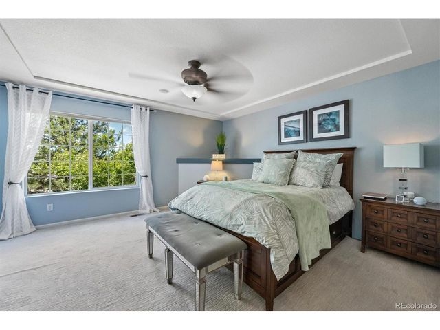 2529 Cactus Bloom Ct, Castle Rock, CO 80109