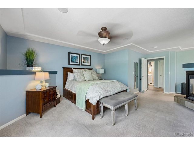 2529 Cactus Bloom Ct, Castle Rock, CO 80109