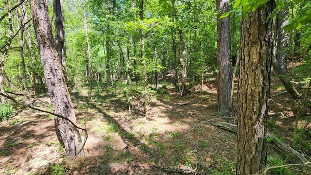 P#3 - TBD Us-190, Point Blank, TX 77364