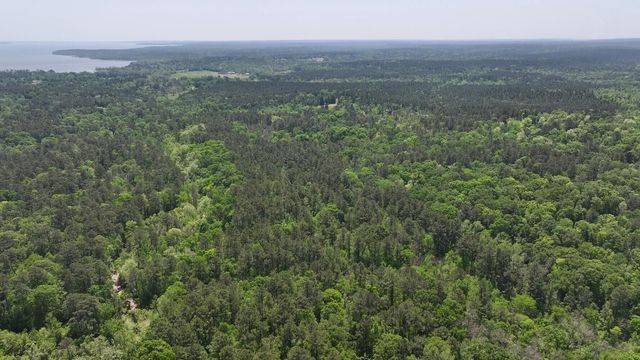 P#3 - TBD Us-190, Point Blank, TX 77364