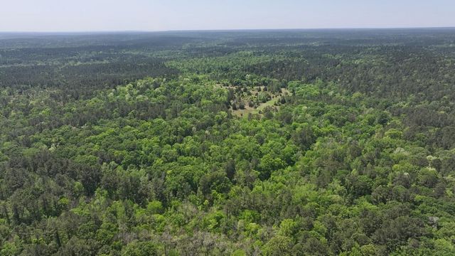 P#3 - TBD Us-190, Point Blank, TX 77364