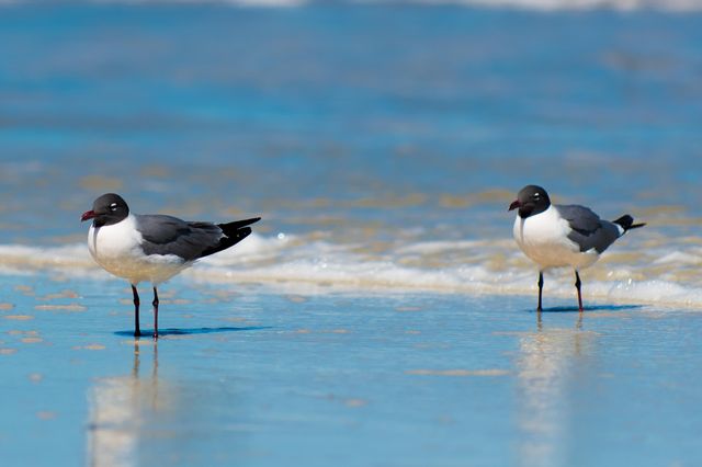 6170 A1a S 310, St Augustine, FL 32080