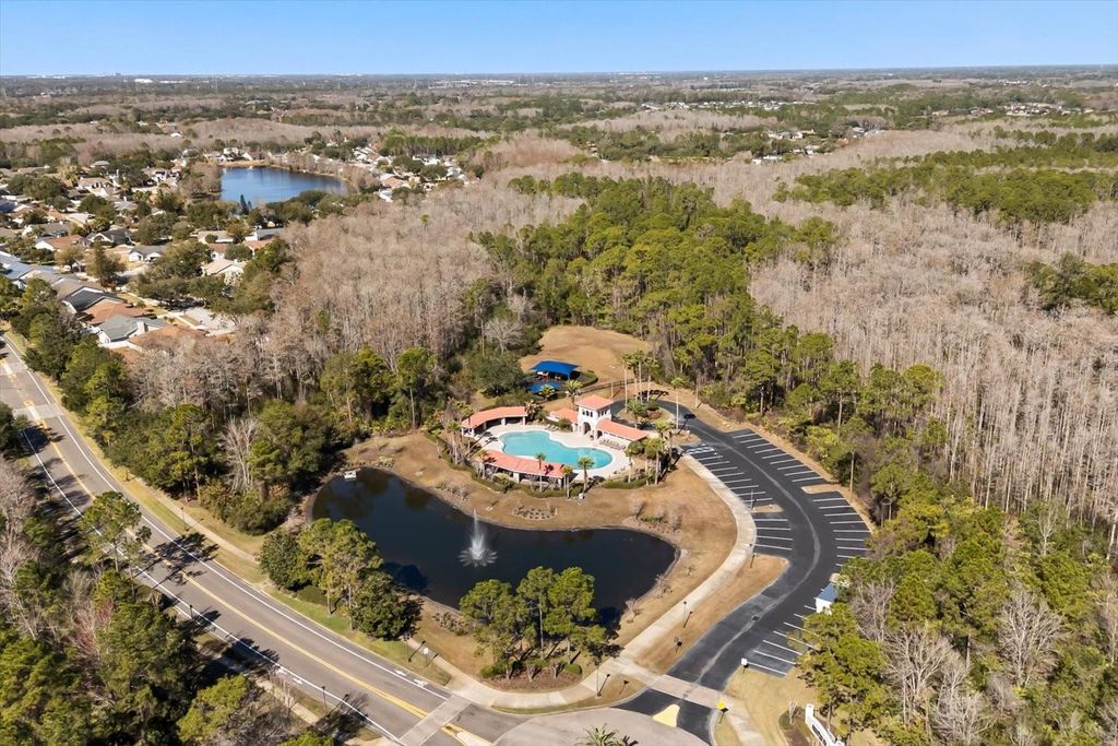 Image 43 of property listing at 10743 SUNRISE TERRACE DRIVE, Orlando, FL 32825