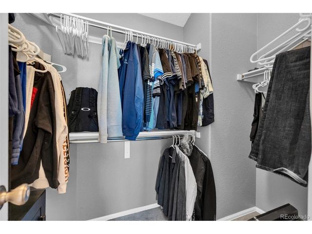 9098 Goosander Way, Littleton, CO 80126