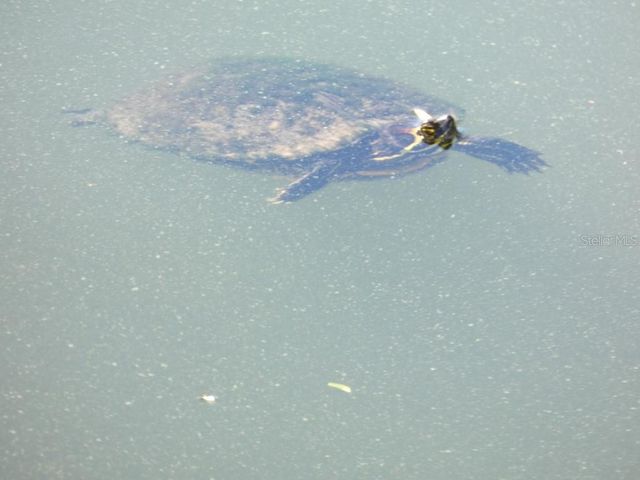 1960 UNION STREET 41, Clearwater, FL 33763