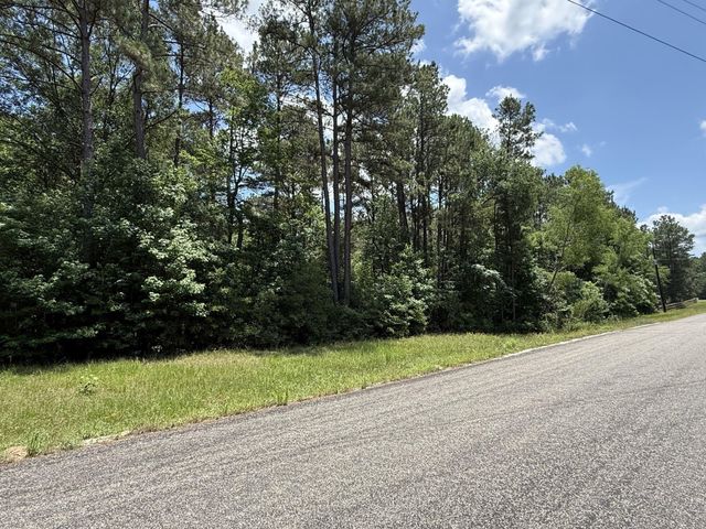 3A-7-5 Grand View, Huntsville, TX 77340