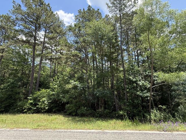 3A-7-5 Grand View, Huntsville, TX 77340