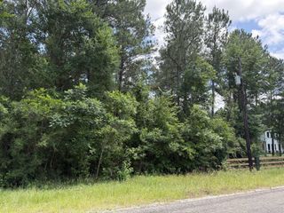 3A-7-5 Grand View, Huntsville, TX 77340