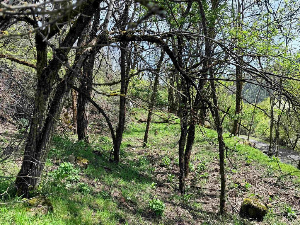 0 Forsman Ave, Orofino, ID 83544