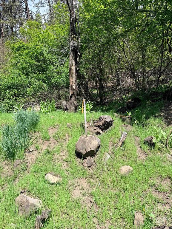 0 Forsman Ave, Orofino, ID 83544 photo 2