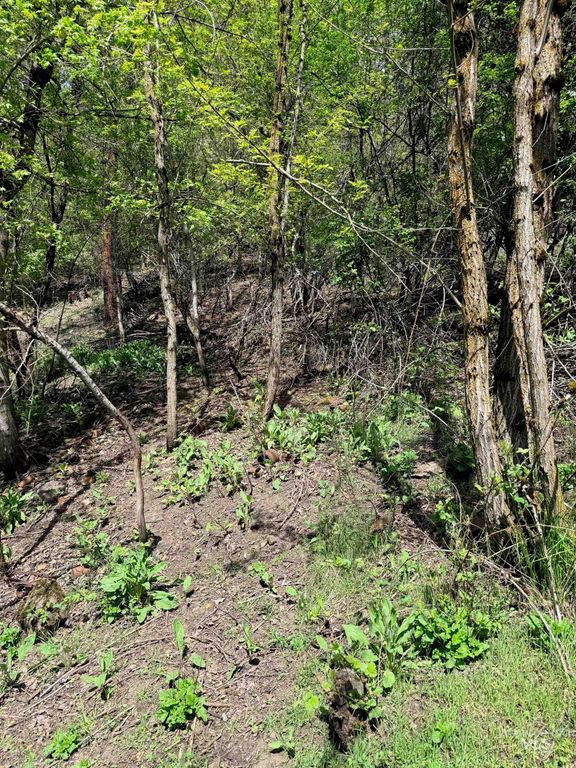 0 Forsman Ave, Orofino, ID 83544 photo 3