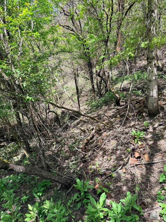 0 Forsman Ave, Orofino, ID 83544 photo 4