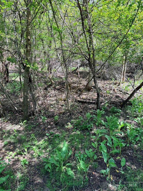 0 Forsman Ave, Orofino, ID 83544 photo 5