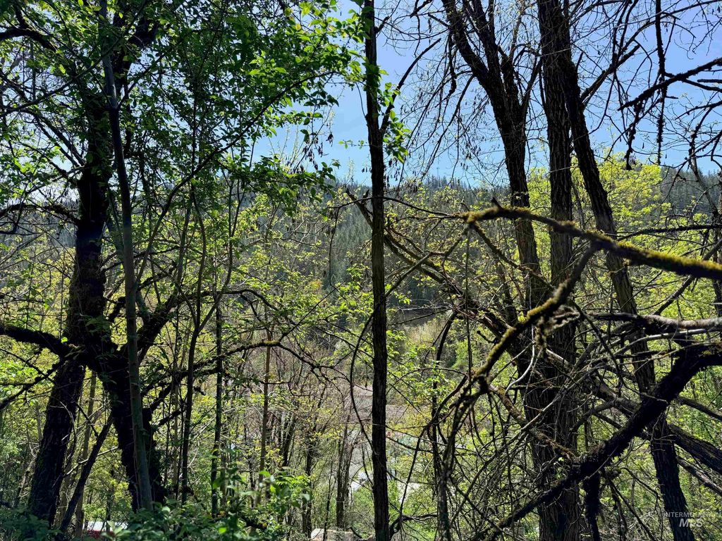 0 Forsman Ave, Orofino, ID 83544 photo 6