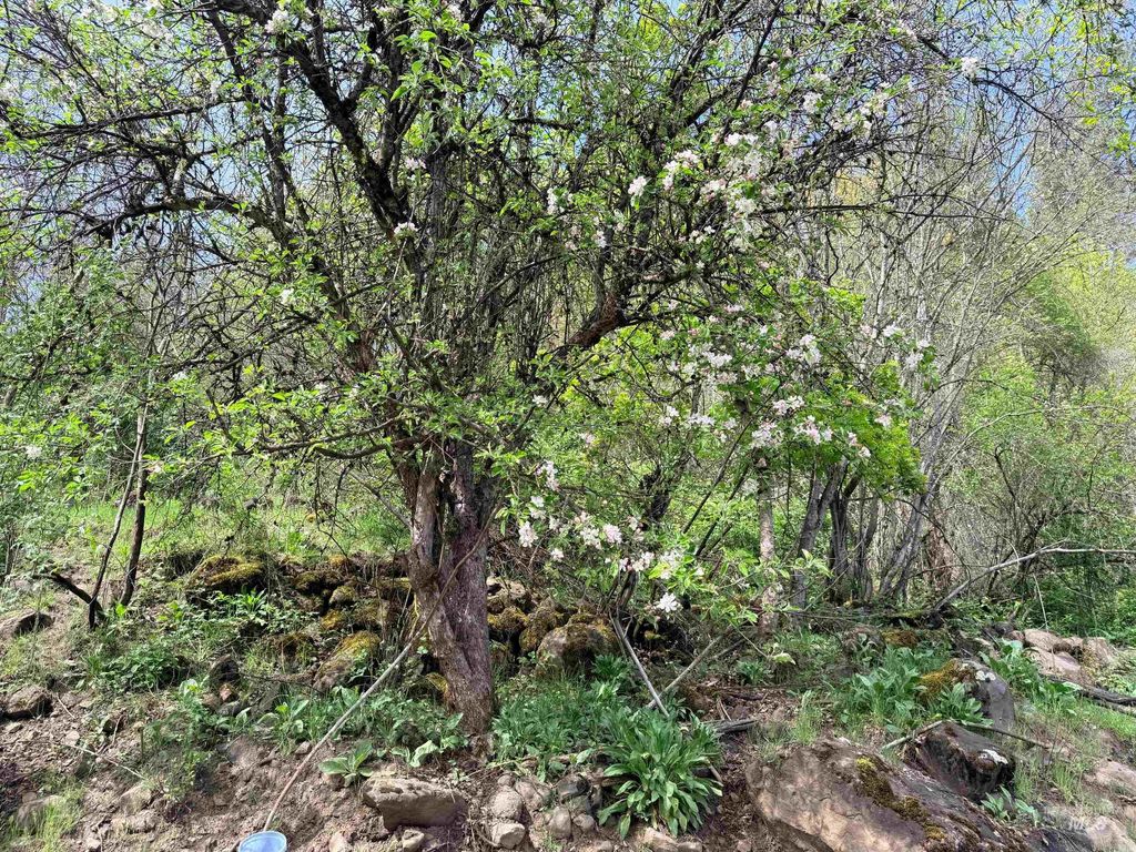 0 Forsman Ave, Orofino, ID 83544 photo 7