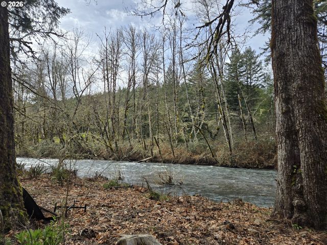 16817 NONPAREIL Rd, Sutherlin, OR 97479