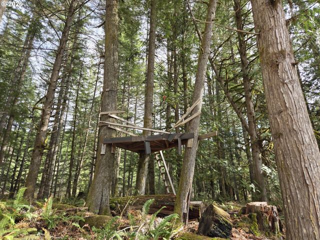 16817 NONPAREIL Rd, Sutherlin, OR 97479