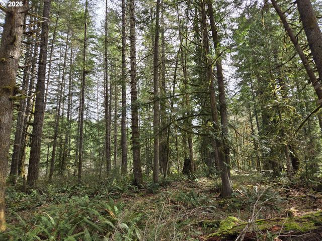 16817 NONPAREIL Rd, Sutherlin, OR 97479