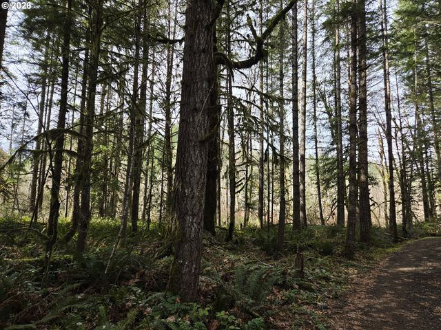 16817 NONPAREIL Rd, Sutherlin, OR 97479