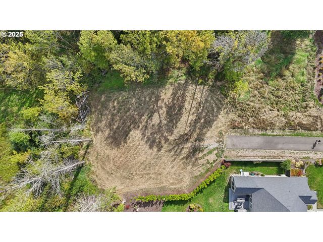 16907 Ne 24th Ave, Ridgefield, WA 98642