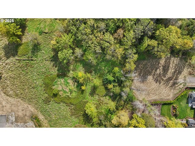 16907 Ne 24th Ave, Ridgefield, WA 98642
