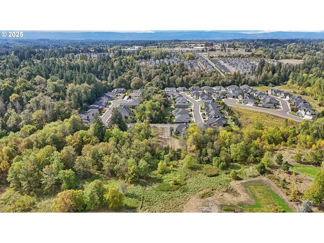 16907 Ne 24th Ave, Ridgefield, WA 98642