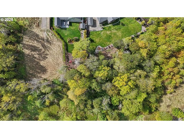 16907 Ne 24th Ave, Ridgefield, WA 98642