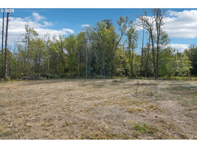 16907 Ne 24th Ave, Ridgefield, WA 98642