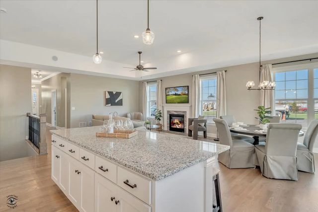 19157 BUNCRANA Circle, Tinley Park, IL 60487