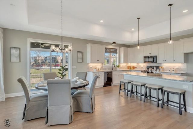 19157 BUNCRANA Circle, Tinley Park, IL 60487