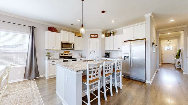 208 Biraj Ct, Smyrna, TN 37167