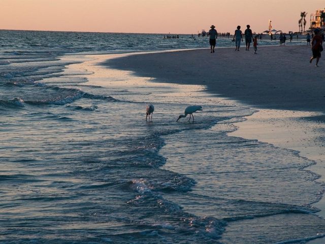 7790 FAIRWAY WOODS DRIVE 1201, Sarasota, FL 34238