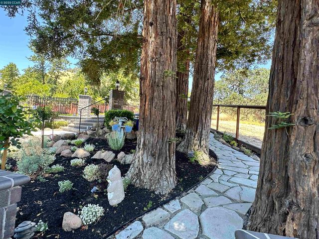 1883 Piedras Cir, Alamo, CA 94507