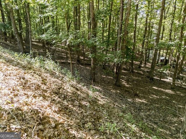 191 Deer Run Road, Blairsville, GA 30512