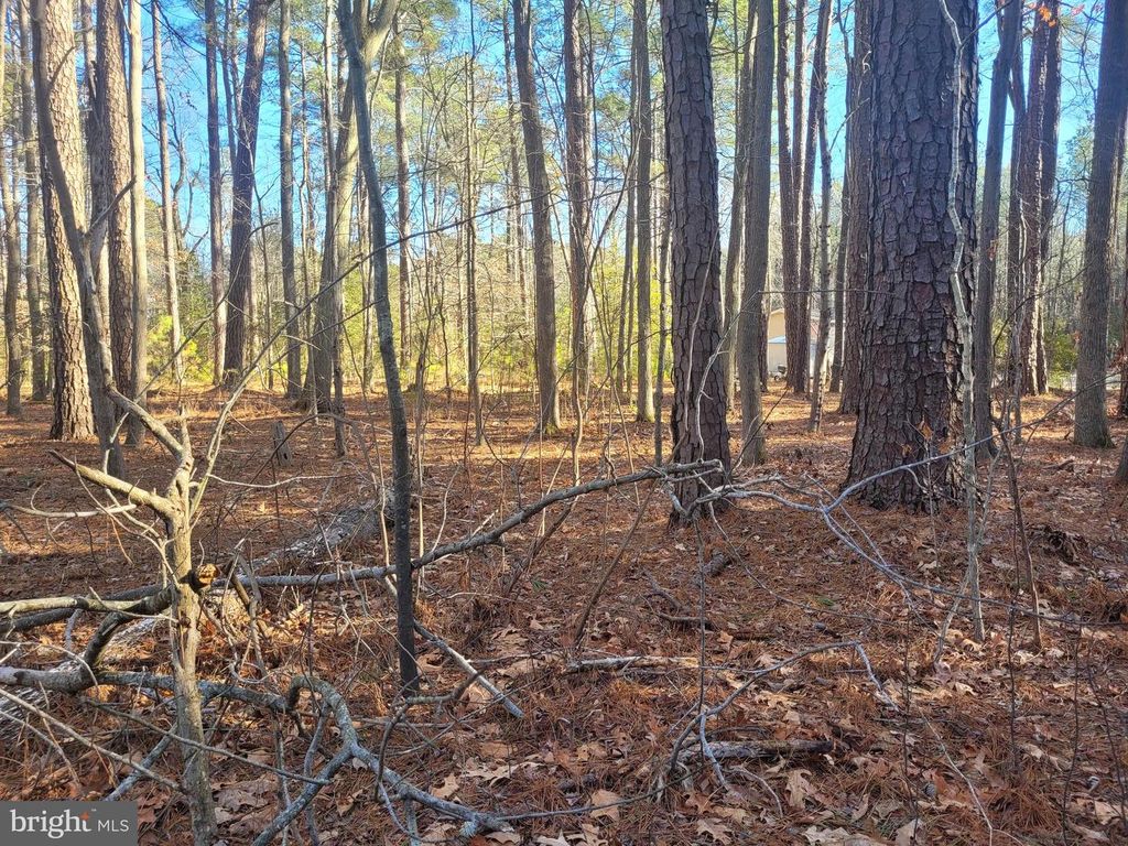 LOT 7 DIAMOND DRIVE, Hague, VA 22469
