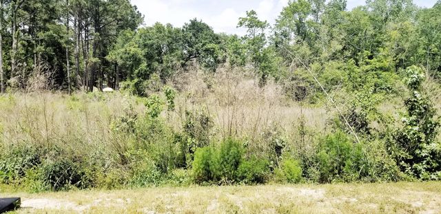 479 Truman Drive, Goose Creek, SC 29445