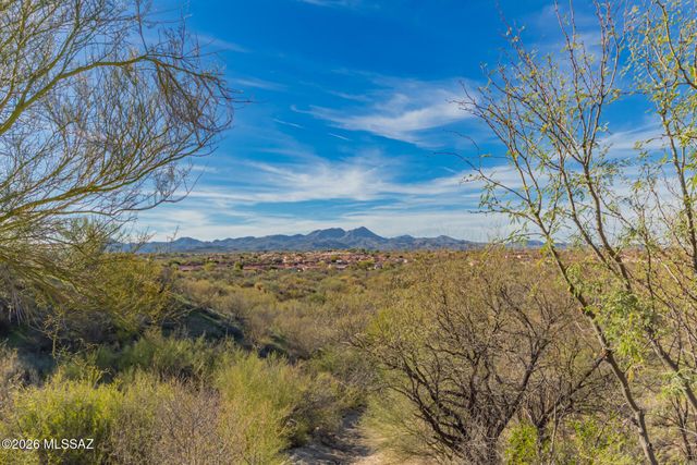 13772 N High Mountain View Place, Tucson, AZ 85739