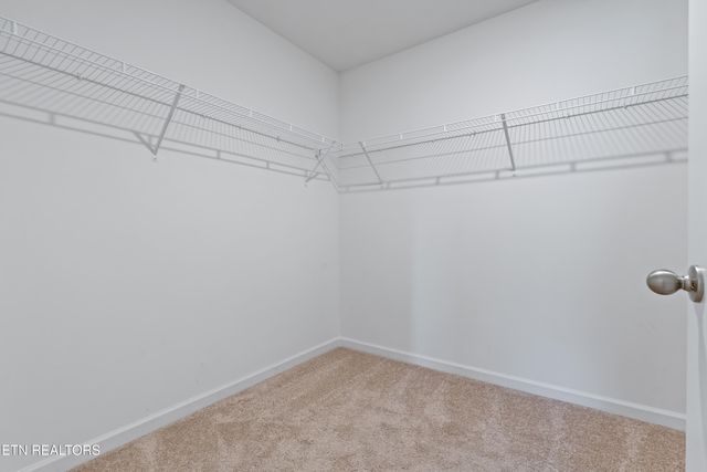 368 Hayley Marie Lane, Knoxville, TN 37920