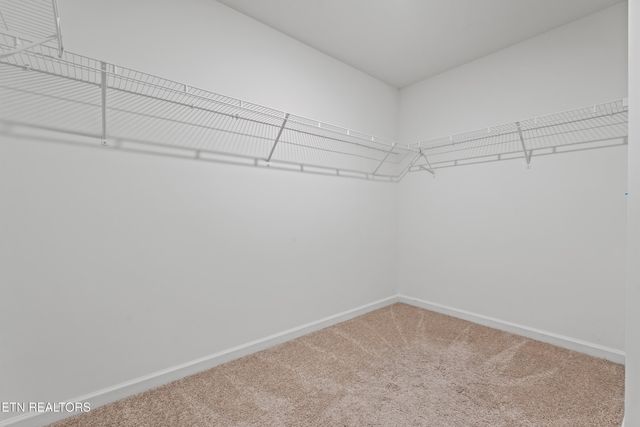 368 Hayley Marie Lane, Knoxville, TN 37920