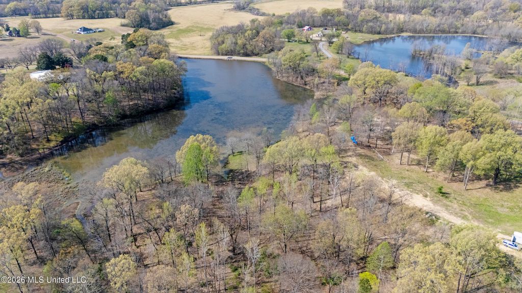 4234 Delta View Road, Lake Cormorant, MS 38641 — exterior
