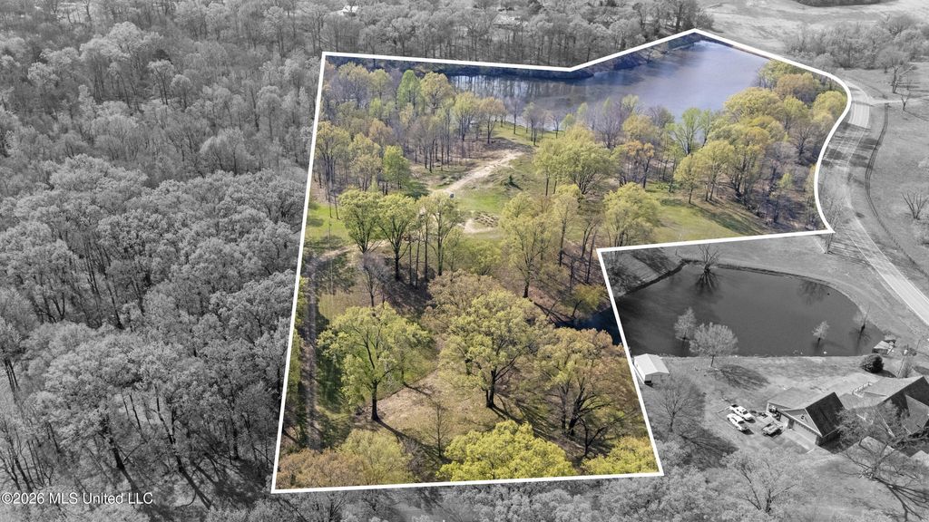 4234 Delta View Road, Lake Cormorant, MS 38641 — photo 2
