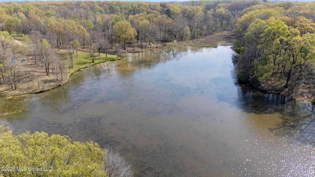 4234 Delta View Road, Lake Cormorant, MS 38641 — photo 3