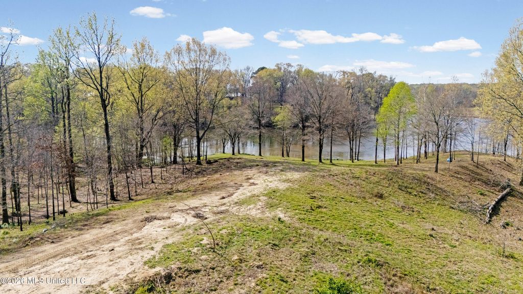 4234 Delta View Road, Lake Cormorant, MS 38641 — photo 4
