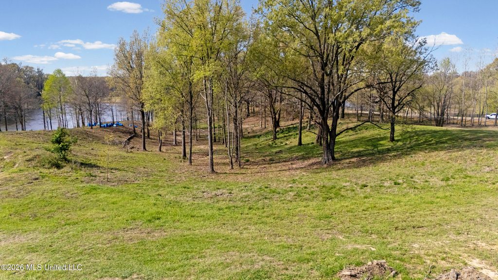 4234 Delta View Road, Lake Cormorant, MS 38641 — photo 5