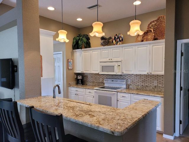 223 BIG PINE LANE, Punta Gorda, FL 33955