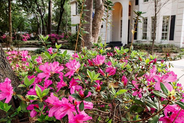 35 Misty Grove Circle, The Woodlands, TX 77380