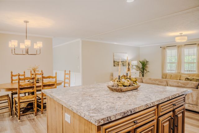 96 Morrison Rd, Gruetli Laager, TN 37339