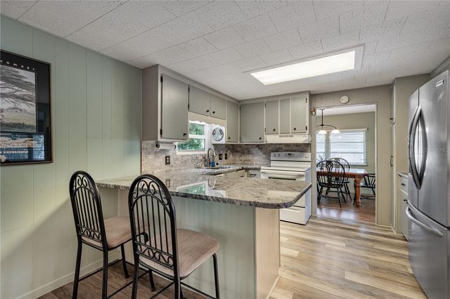 1136 RUE DE DORE, Tavares, FL 32778