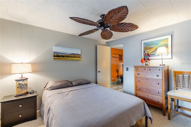 1136 RUE DE DORE, Tavares, FL 32778