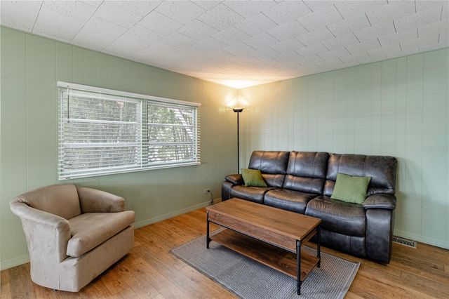 1136 RUE DE DORE, Tavares, FL 32778